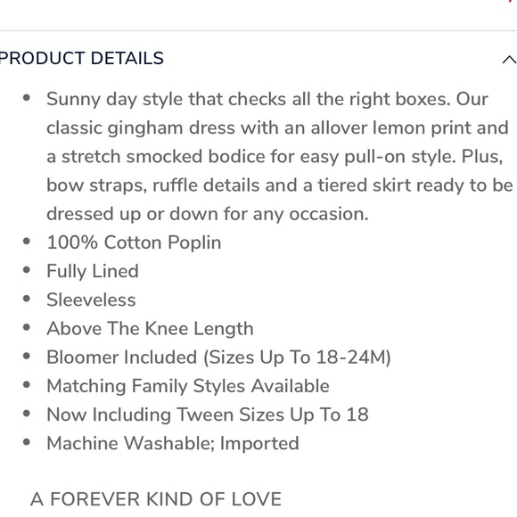 Janie and Jack THE LEMON GINGHAM SMOCKED SUNDRESS sz 2 - Picture 5 of 5